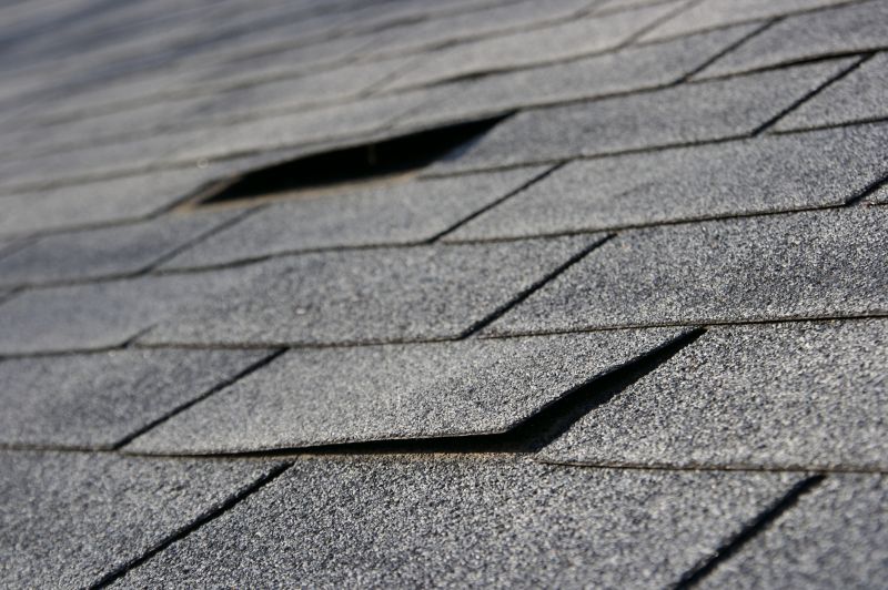 Asphalt Shingle Damage Assessment